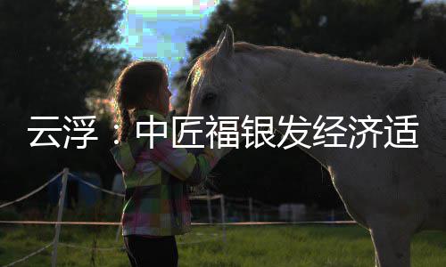 顶，面积0亩中占地匠福经济云浮银发园封约4科技适老
